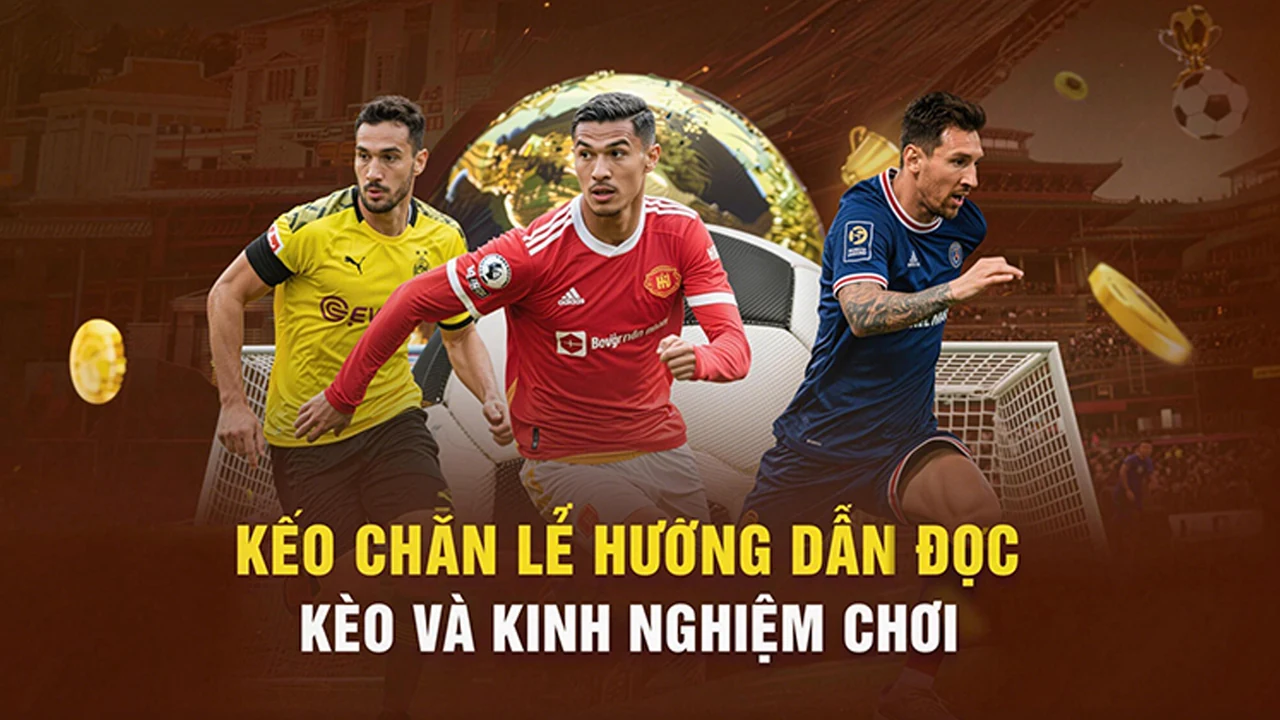 Khuyến mãi trên O8BET – bước kiểm tra thực tế